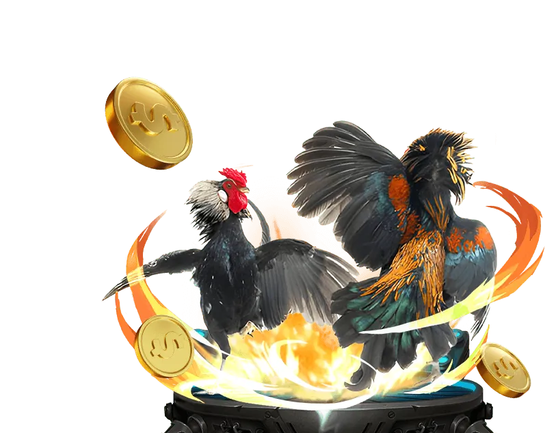 Hoàn trả casino hàng tuần